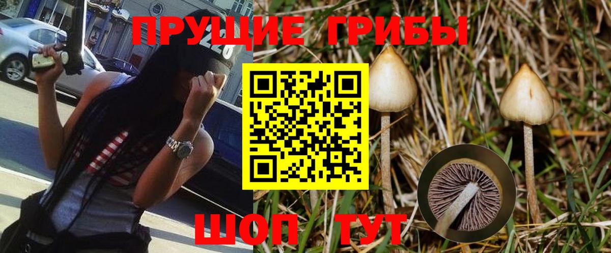 Псилоцибиновые грибы Psilocybe  Вход с VPN  Мценск 