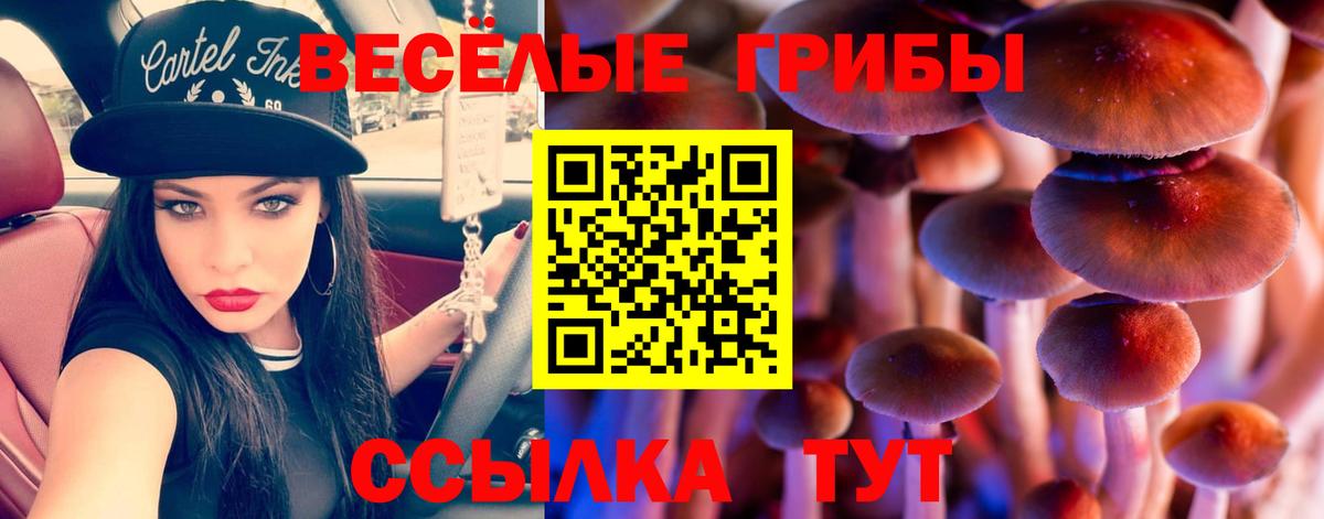 ЭКСТАЗИ  Бошки Шишки  Вход с VPN  МЕФ   МЕТАМФЕТАМИН  Амфетамин   ГАШ  Гашиш  Мценск  Альфа ПВП СК кристаллы  MDMA 